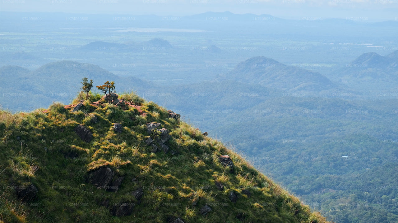 Pěší výlet k Elle Three Icons od Elly