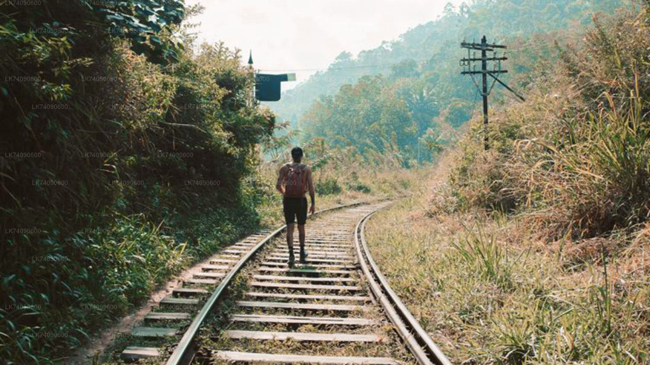 Pěší výlet k Elle Three Icons od Elly