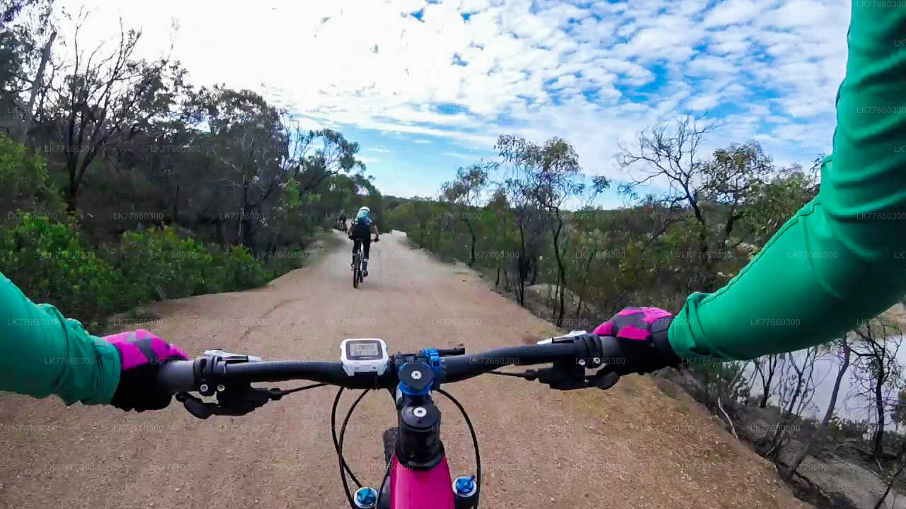 Cyklistická prohlídka mokřadů Thalangama z Colomba