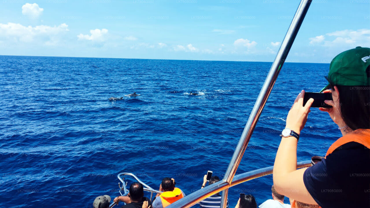 Dvoudenní plavba v Mirisse