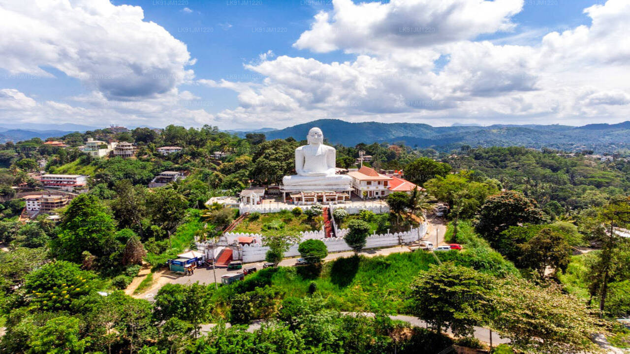 Discover Kandy by Helicopter from Negombo