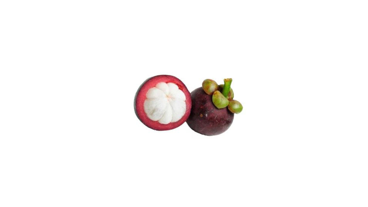 Lakpura Mangosteen (Mangus) Grafted Plant